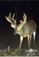 608 acres in Madison Parish, Louisiana 608 acres in Madison Parish, Louisiana