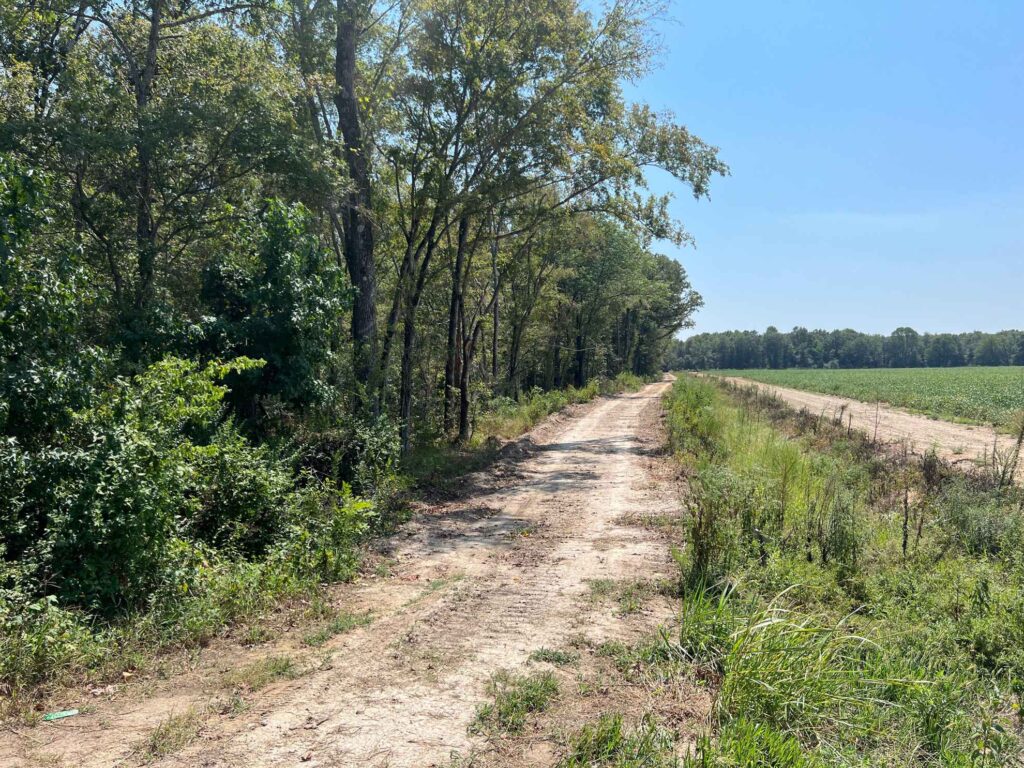 63 acres in Chicot County, Arkansas Brown Realty Co