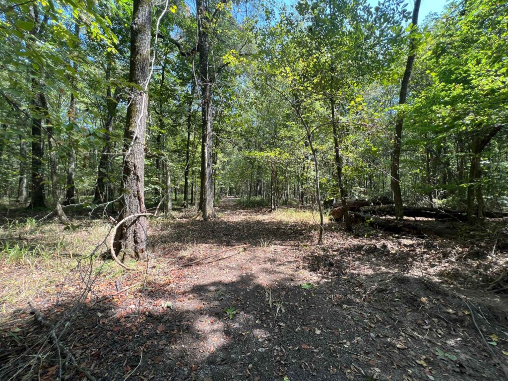 63 acres in Chicot County, Arkansas Brown Realty Co