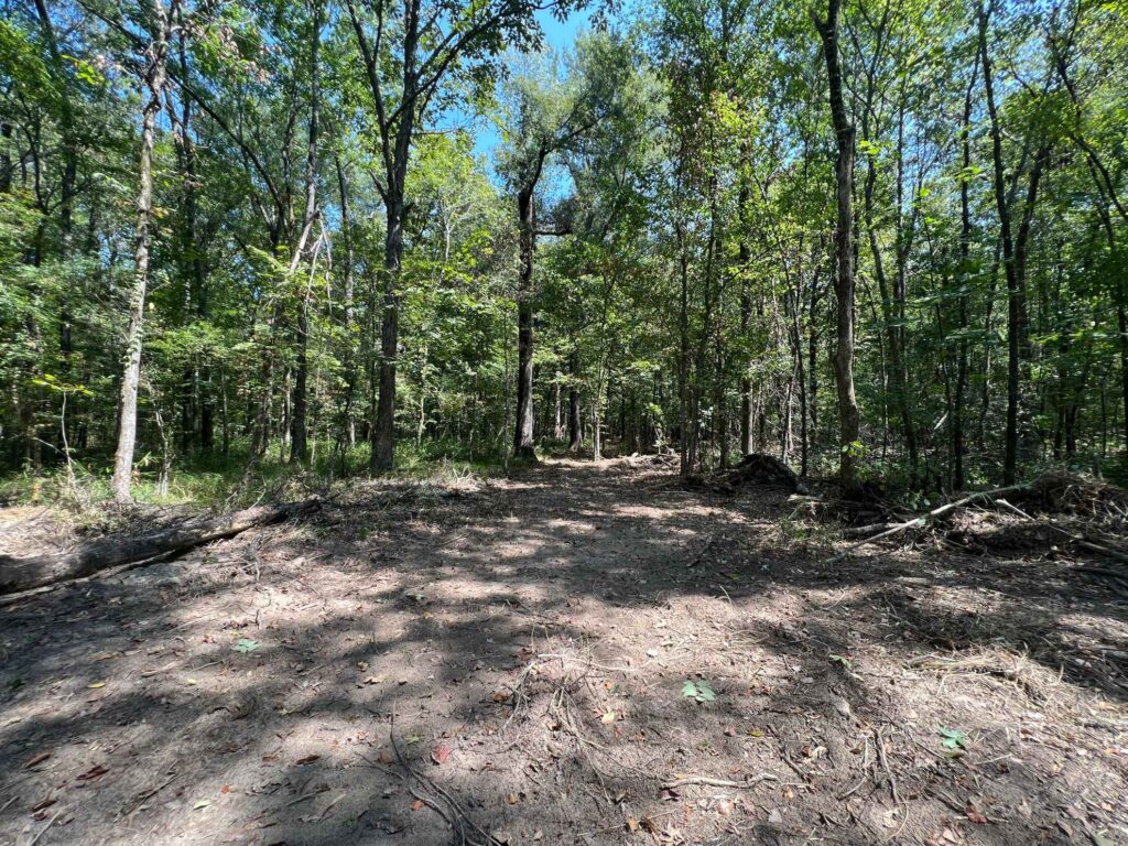 63 acres in Chicot County, Arkansas Brown Realty Co