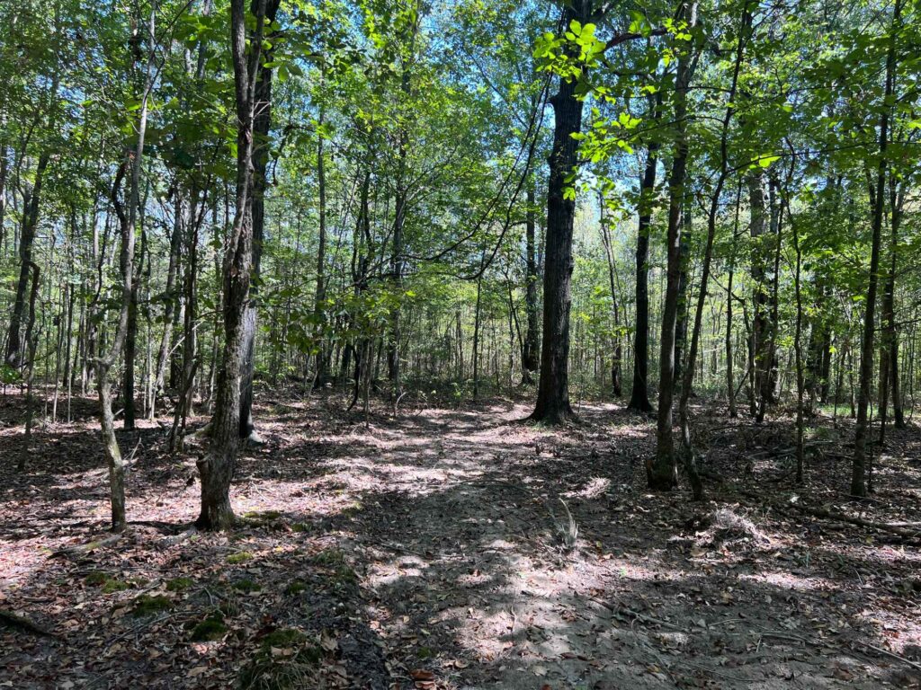 63 acres in Chicot County, Arkansas Brown Realty Co