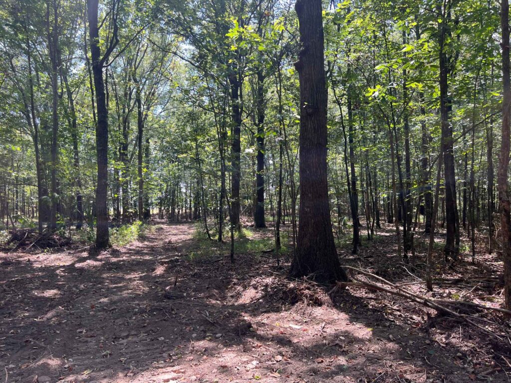 63 acres in Chicot County, Arkansas Brown Realty Co