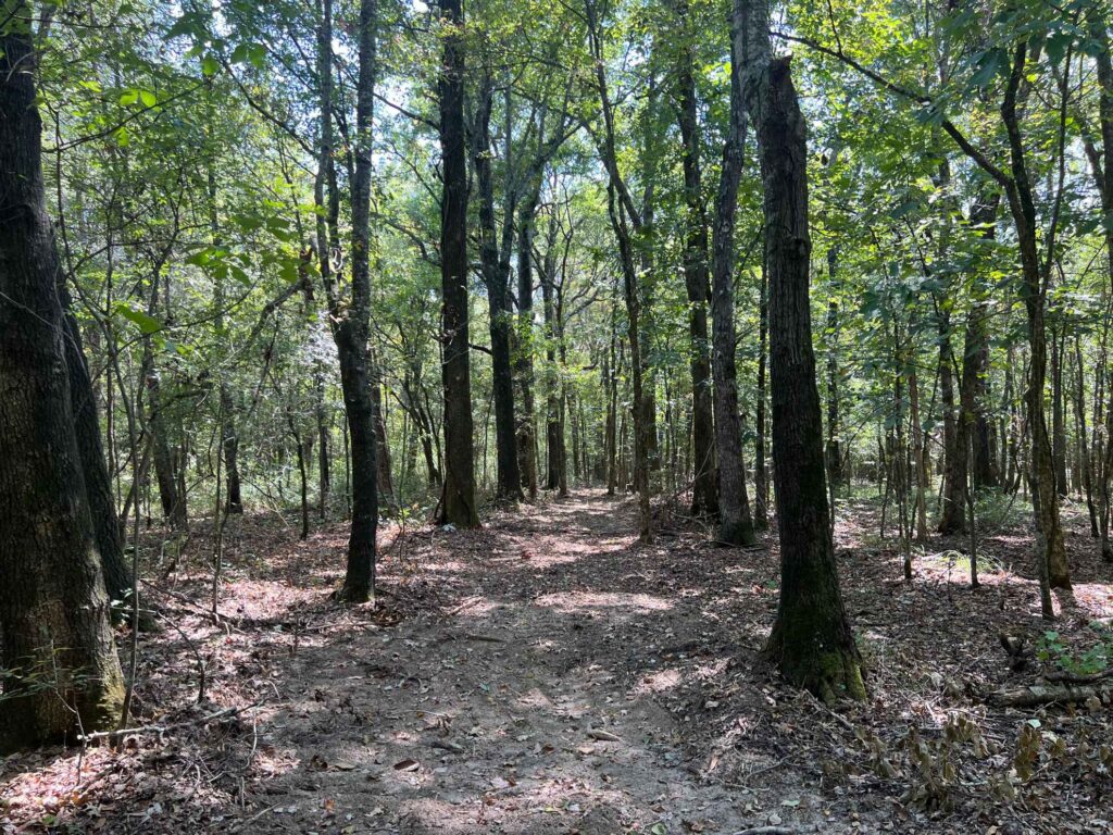63 acres in Chicot County, Arkansas Brown Realty Co