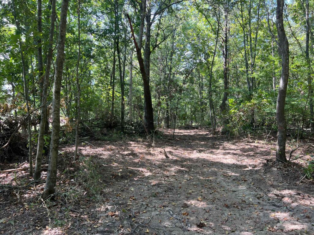 63 acres in Chicot County, Arkansas Brown Realty Co