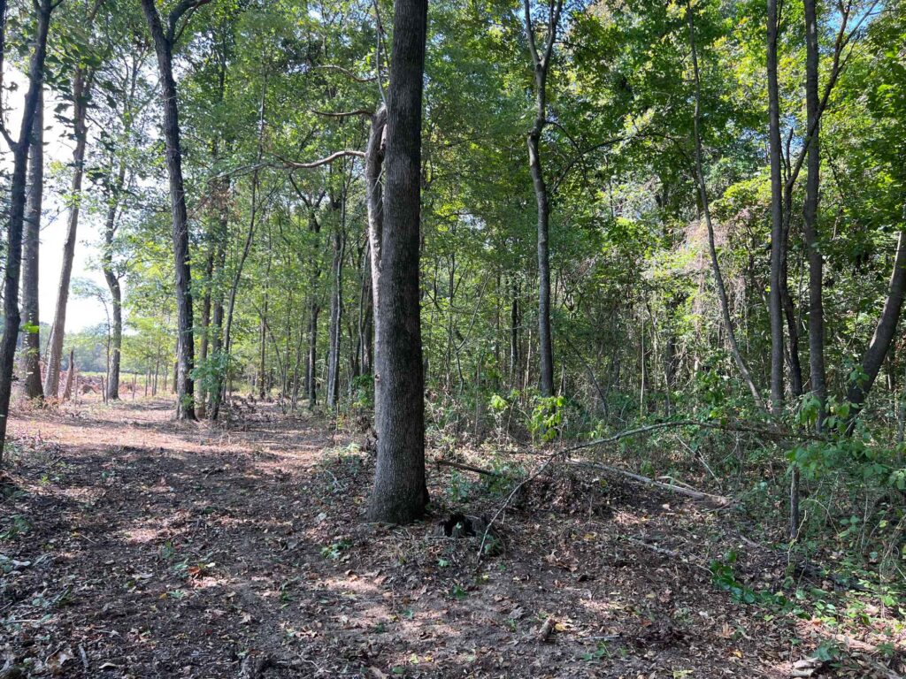 63 acres in Chicot County, Arkansas Brown Realty Co
