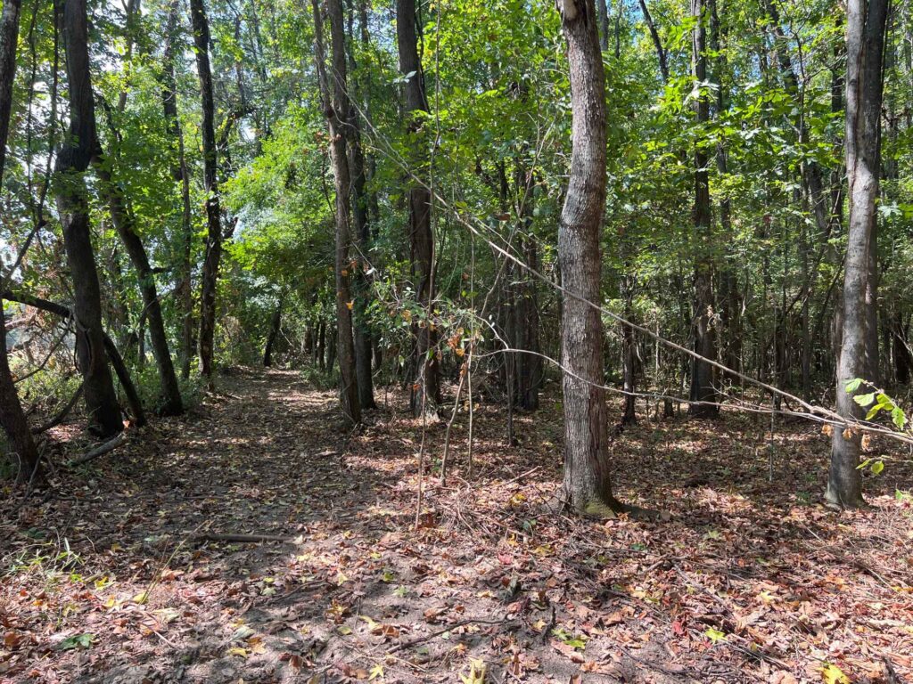 63 acres in Chicot County, Arkansas Brown Realty Co