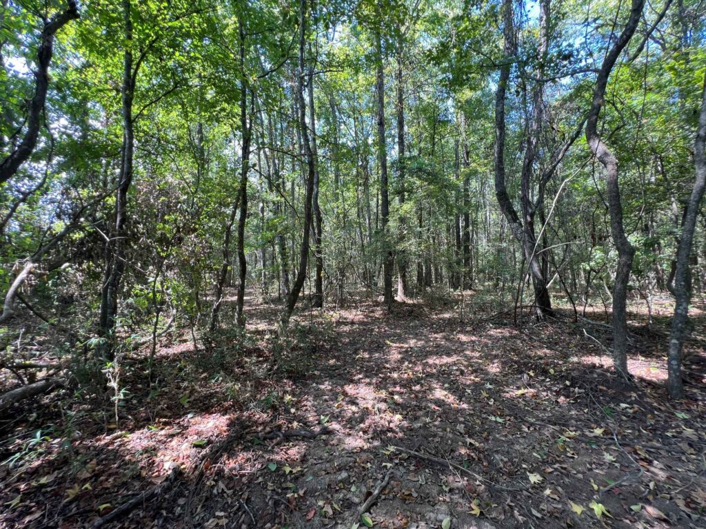 63 acres in Chicot County, Arkansas Brown Realty Co