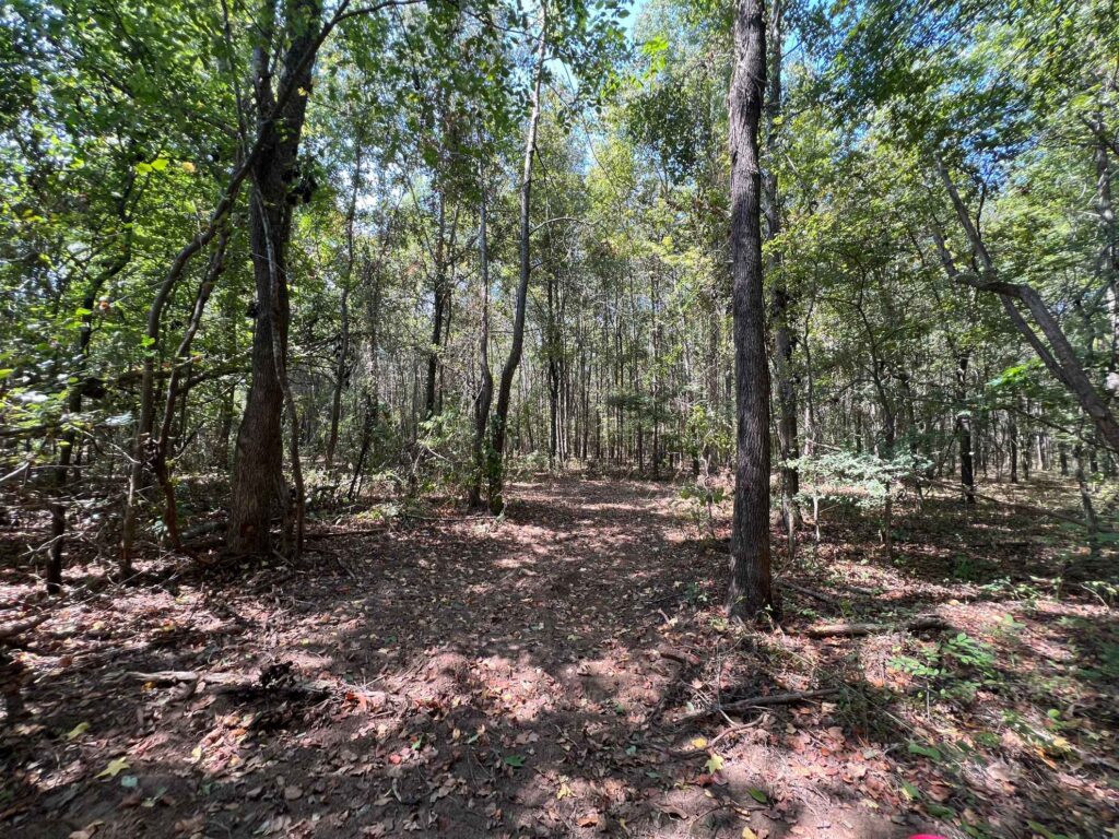 63 acres in Chicot County, Arkansas Brown Realty Co