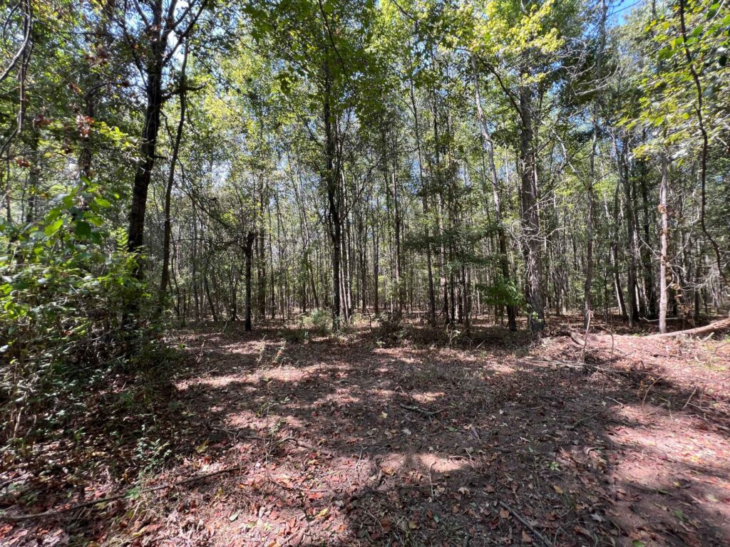 63 acres in Chicot County, Arkansas Brown Realty Co