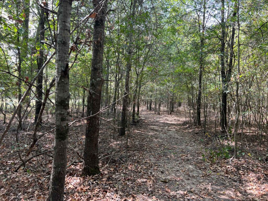63 acres in Chicot County, Arkansas Brown Realty Co