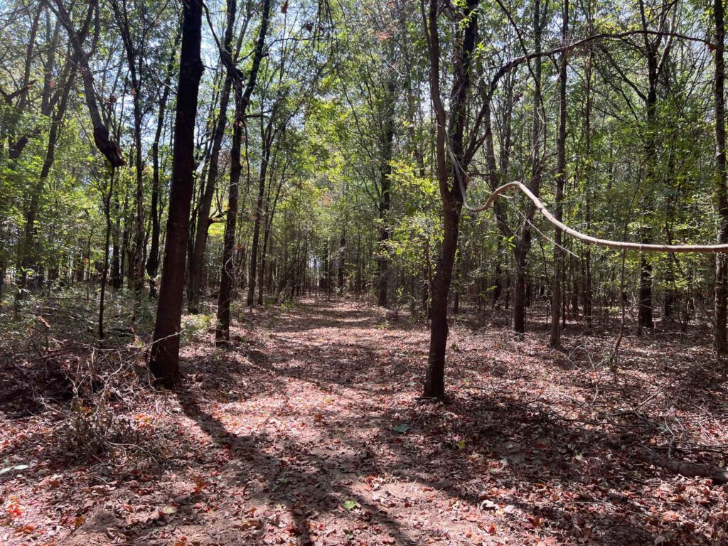 63 acres in Chicot County, Arkansas Brown Realty Co