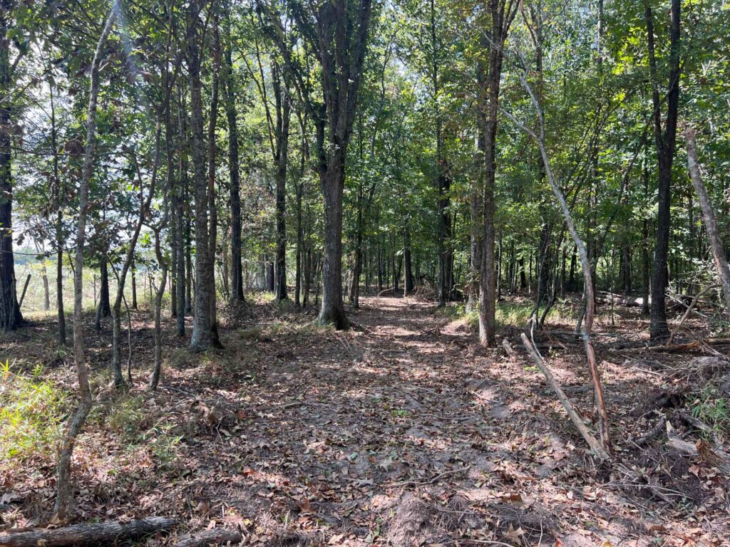63 acres in Chicot County, Arkansas Brown Realty Co