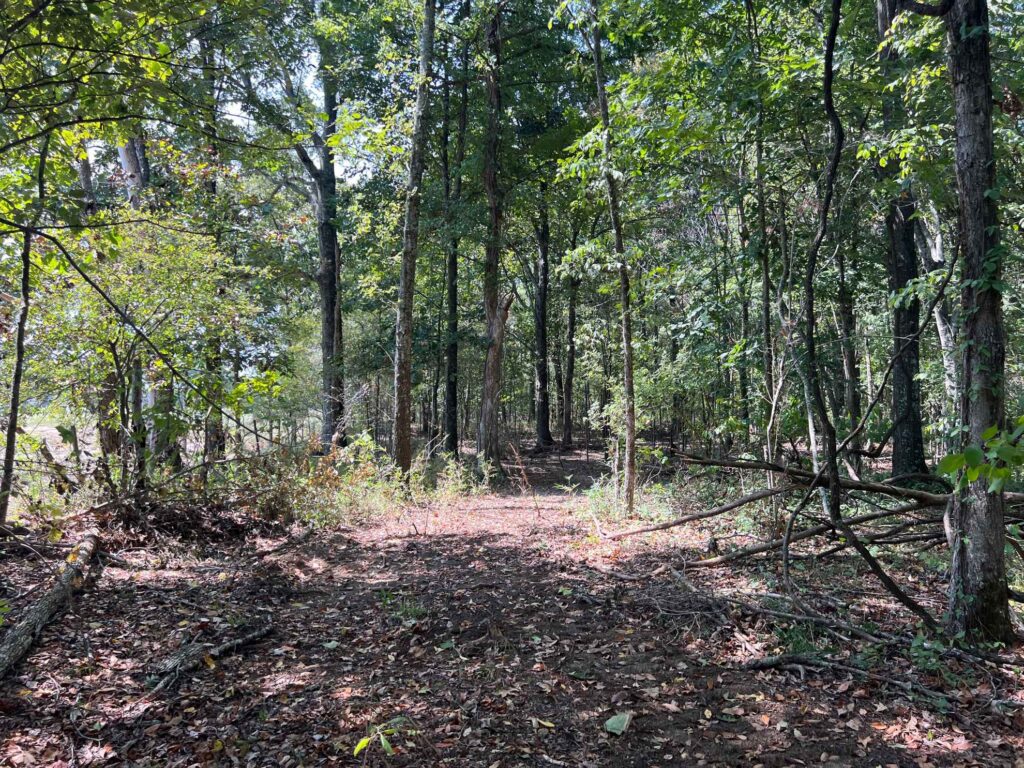 63 acres in Chicot County, Arkansas Brown Realty Co