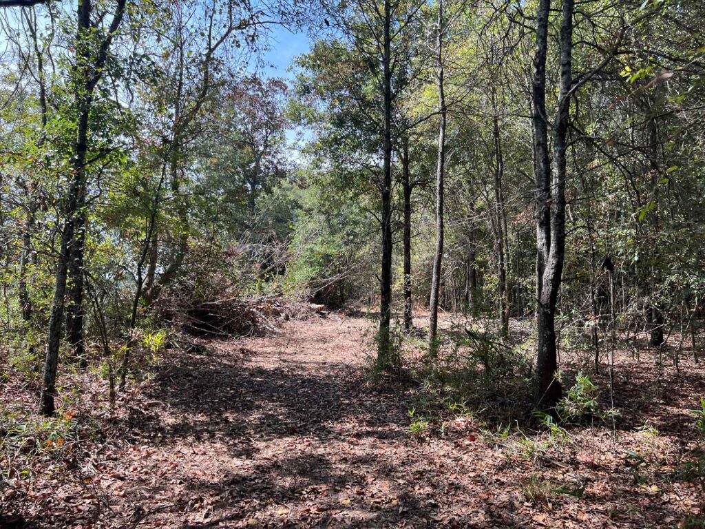 63 acres in Chicot County, Arkansas Brown Realty Co