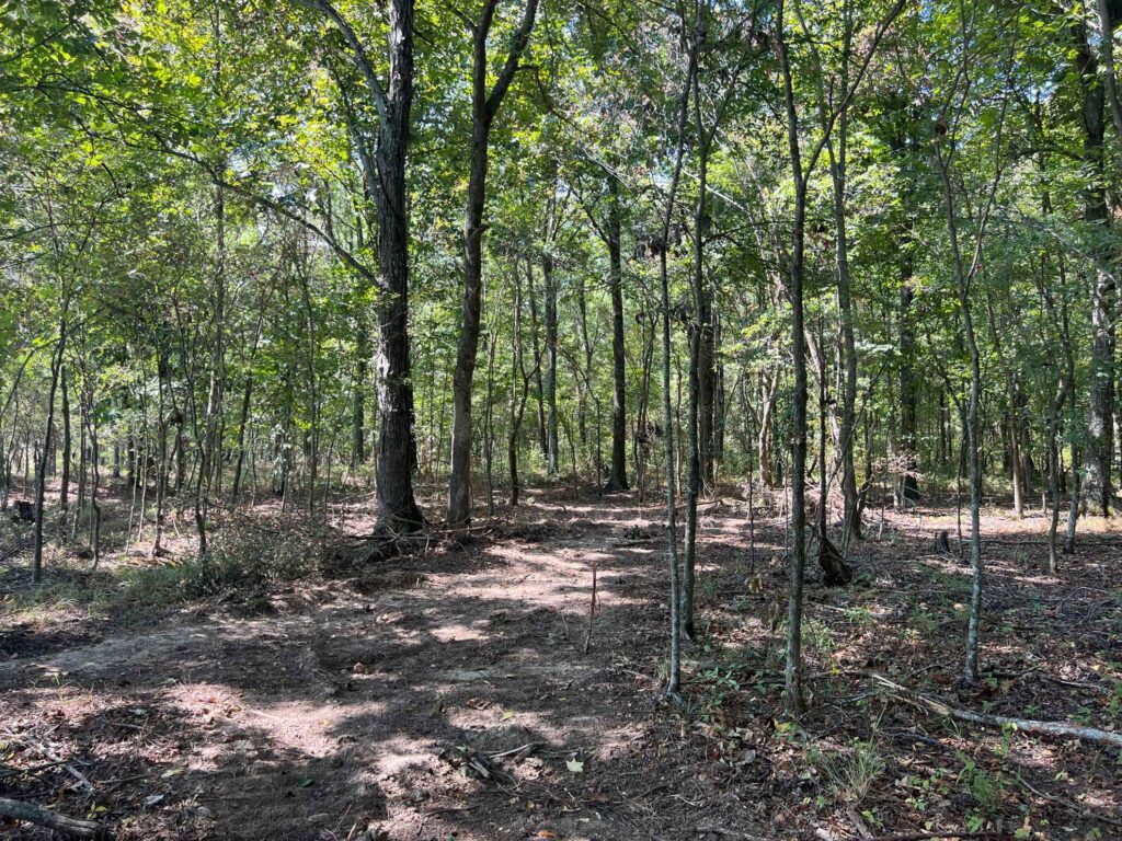 63 acres in Chicot County, Arkansas Brown Realty Co