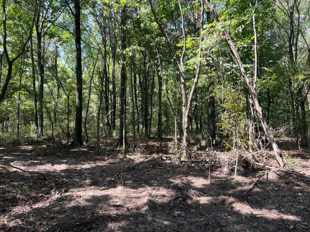 63 acres in Chicot County, Arkansas Brown Realty Co