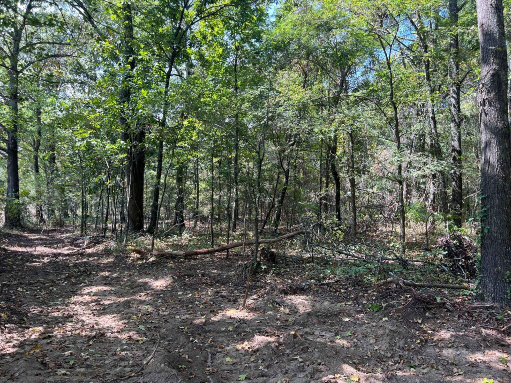 63 acres in Chicot County, Arkansas Brown Realty Co