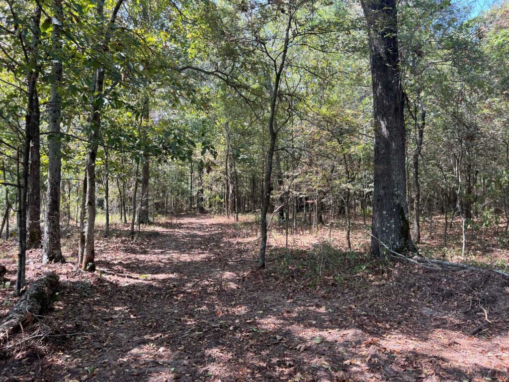 63 acres in Chicot County, Arkansas Brown Realty Co