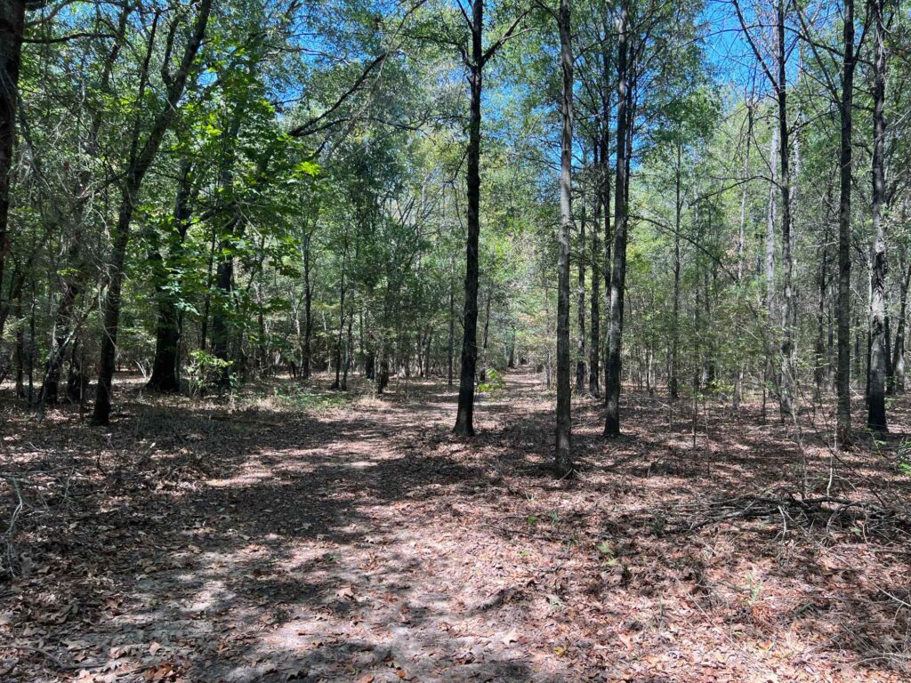 63 acres in Chicot County, Arkansas Brown Realty Co