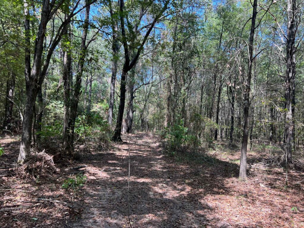 63 acres in Chicot County, Arkansas Brown Realty Co