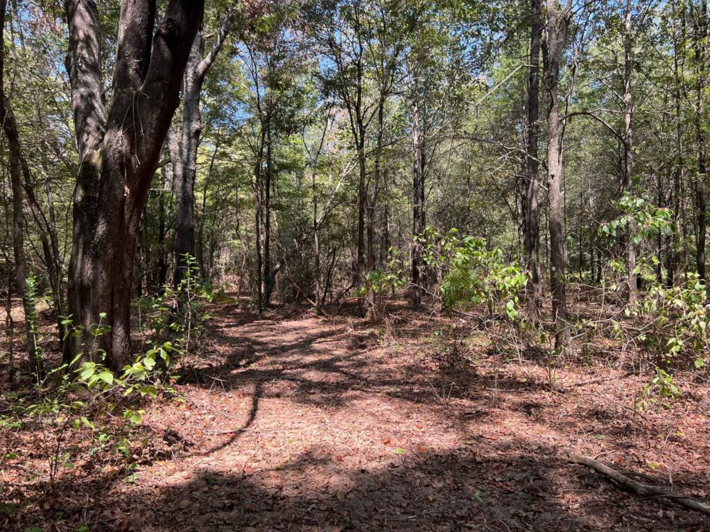 63 acres in Chicot County, Arkansas Brown Realty Co