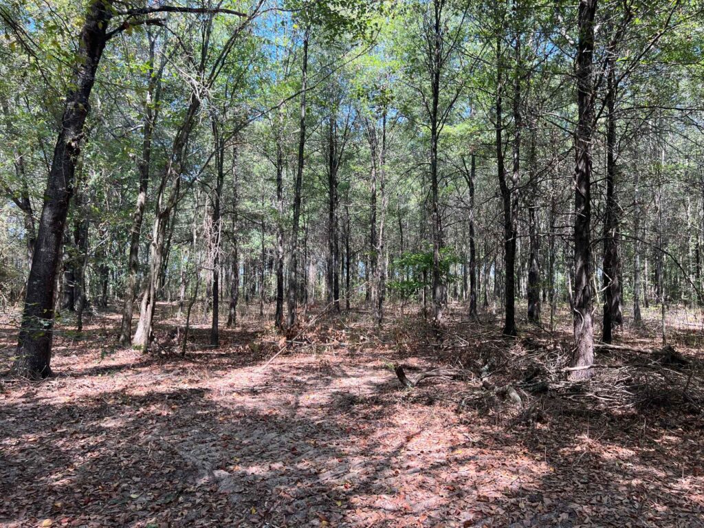 63 acres in Chicot County, Arkansas Brown Realty Co