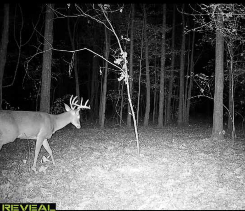 63 acres in Chicot County, Arkansas Brown Realty Co