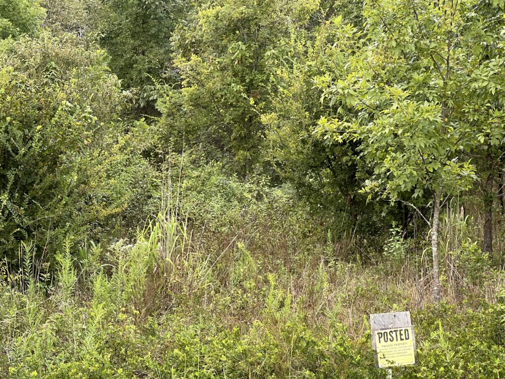 327 acres in Desha County, Arkansas Brown Realty Co