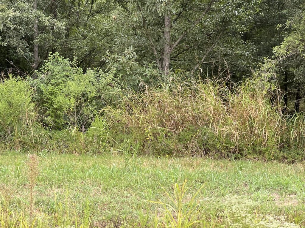 327 acres in Desha County, Arkansas Brown Realty Co