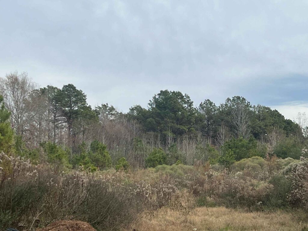 7.921 acres in Ashley County, Arkansas Brown Realty Co