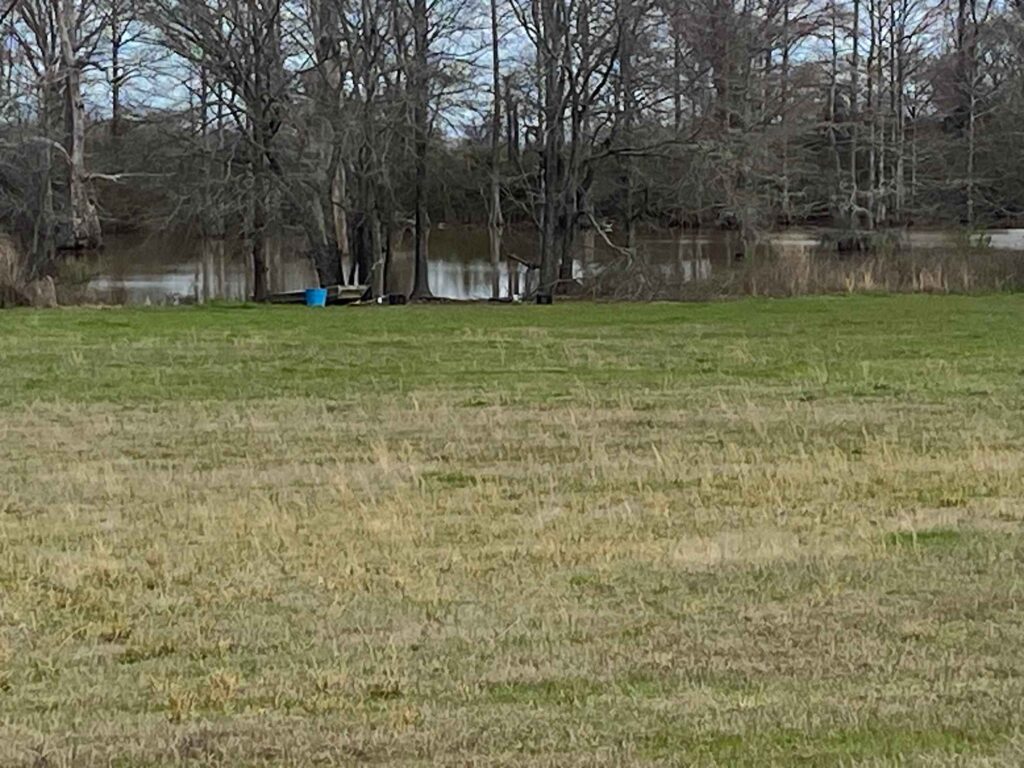 18 acres in Morehouse Parish, Louisiana Brown Realty Co