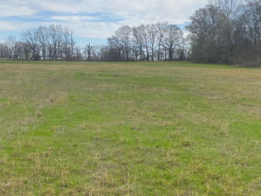 18 acres in Morehouse Parish, Louisiana Brown Realty Co