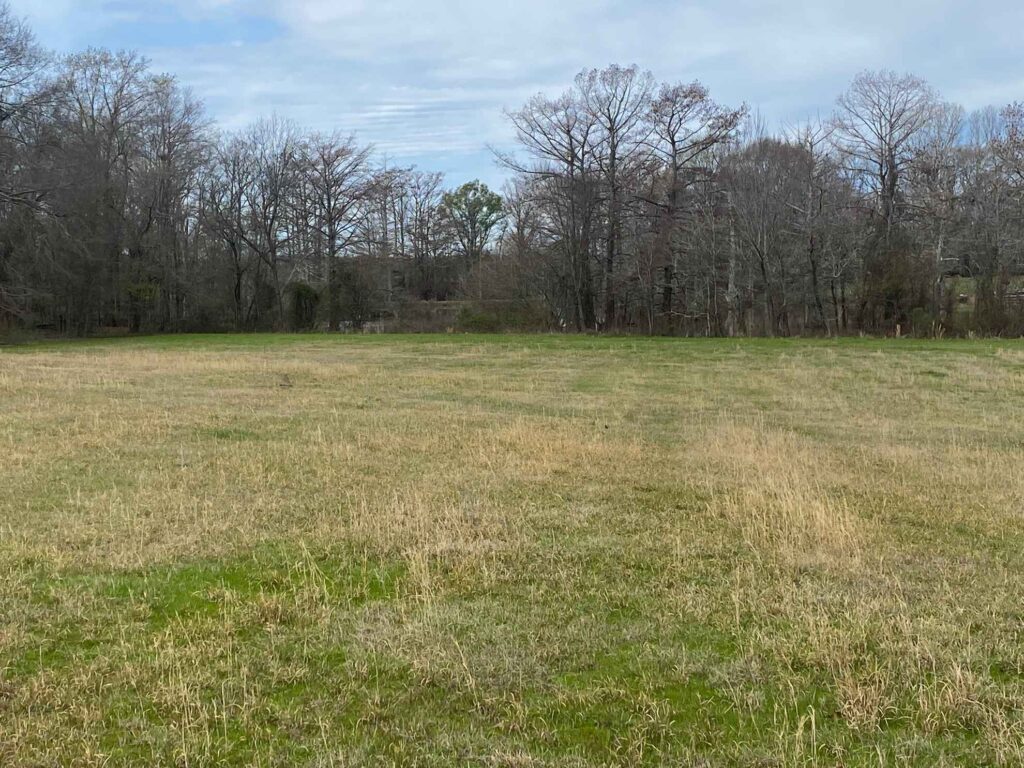 18 acres in Morehouse Parish, Louisiana Brown Realty Co