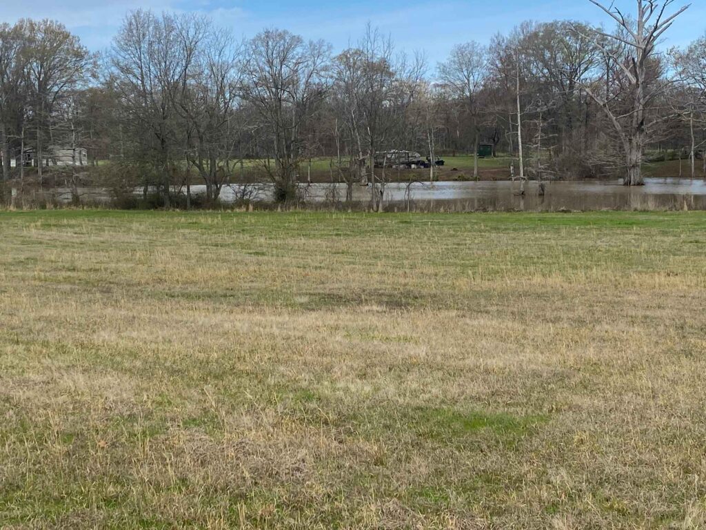 18 acres in Morehouse Parish, Louisiana Brown Realty Co