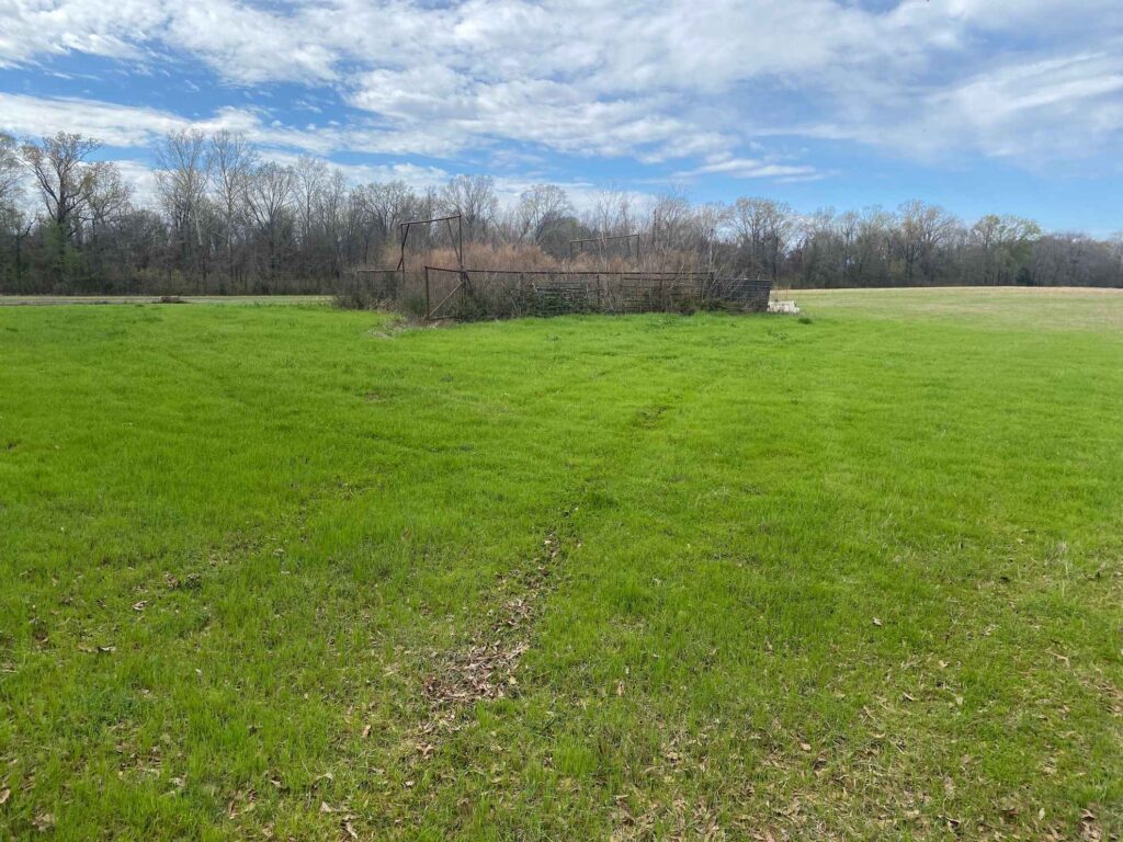 18 acres in Morehouse Parish, Louisiana Brown Realty Co