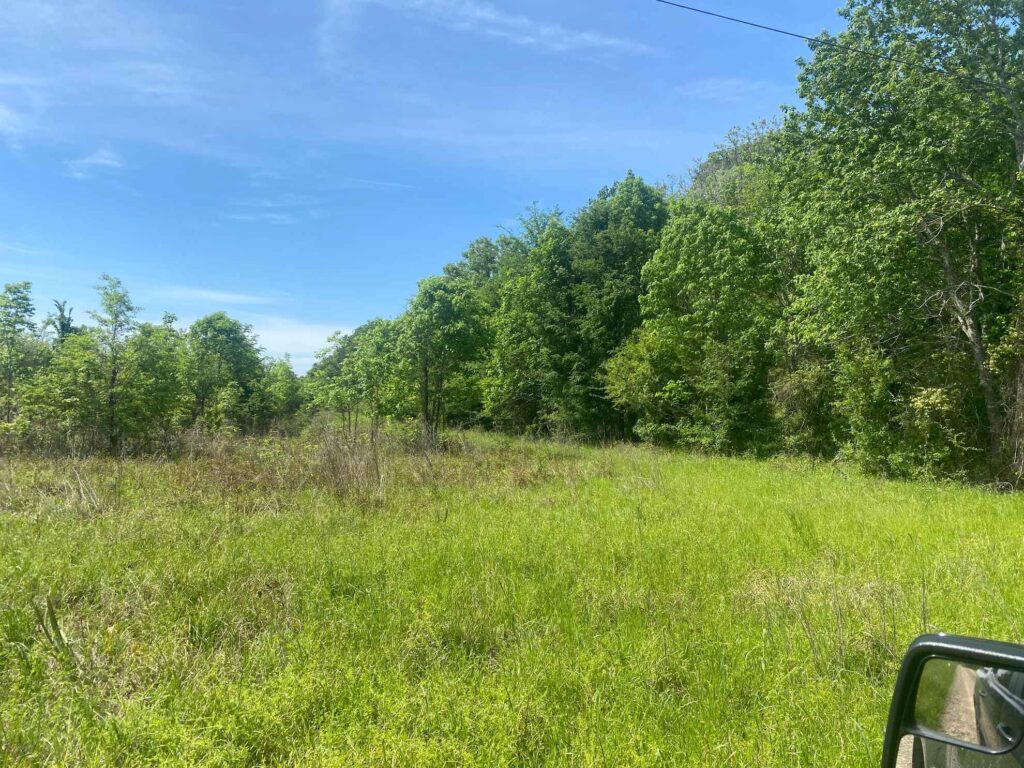 128 acres in West Carroll Parish, Louisiana Brown Realty Co